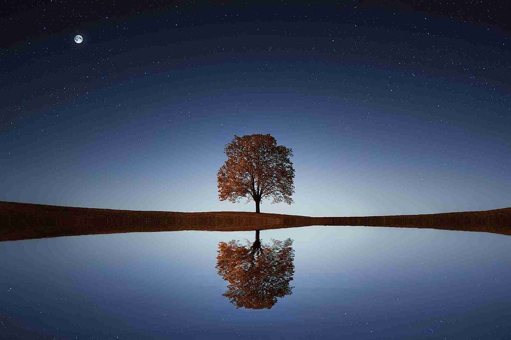 Awakening the Inner Light - Yoga And Self-Realization