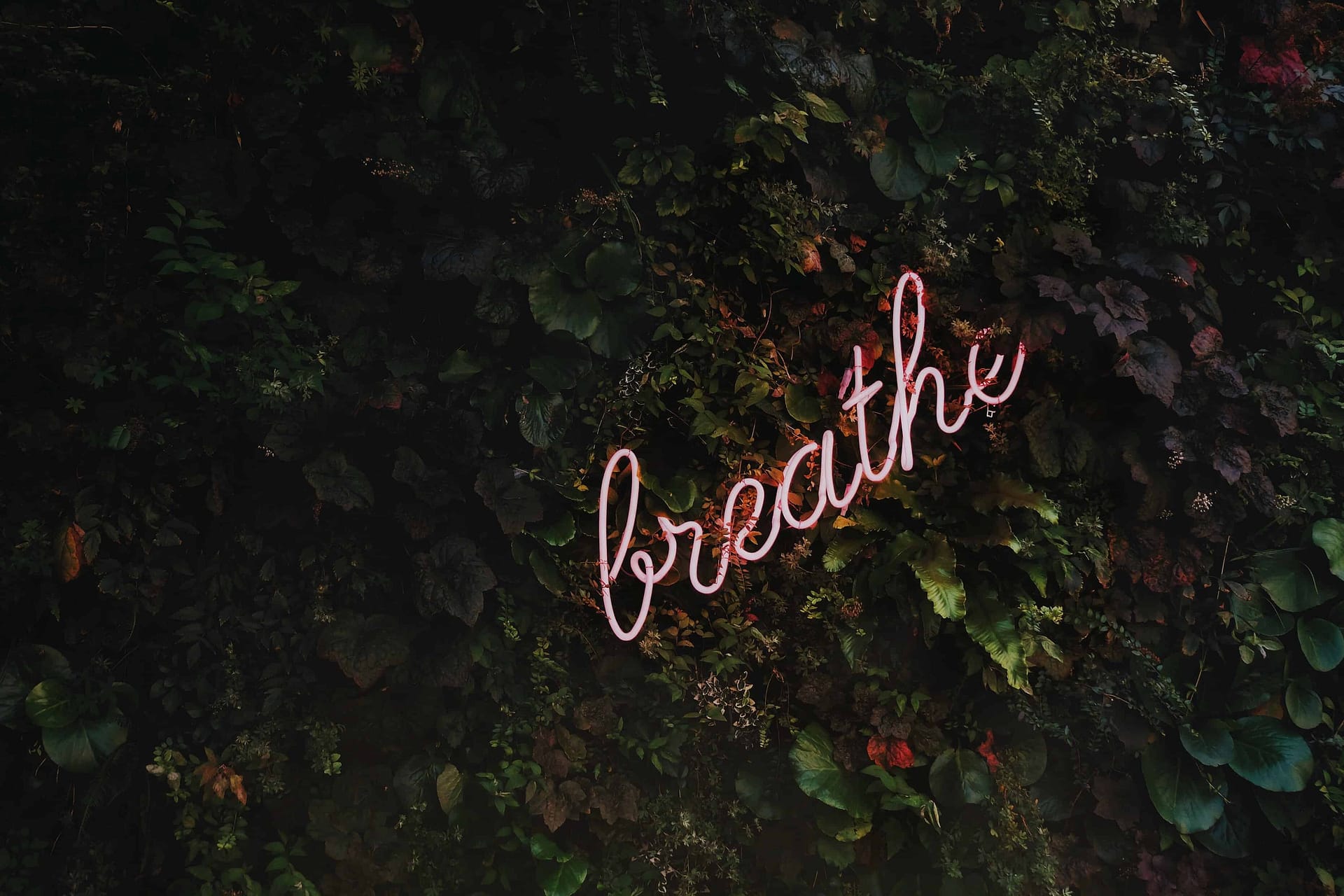 Photos provided by https://unsplash.com/ Self-Mastery